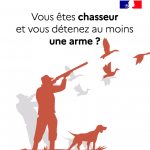 Chasseurs vidéo